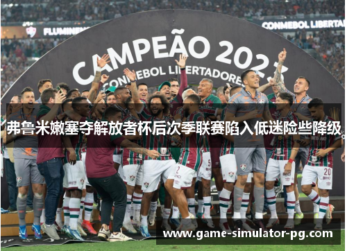 弗鲁米嫩塞夺解放者杯后次季联赛陷入低迷险些降级